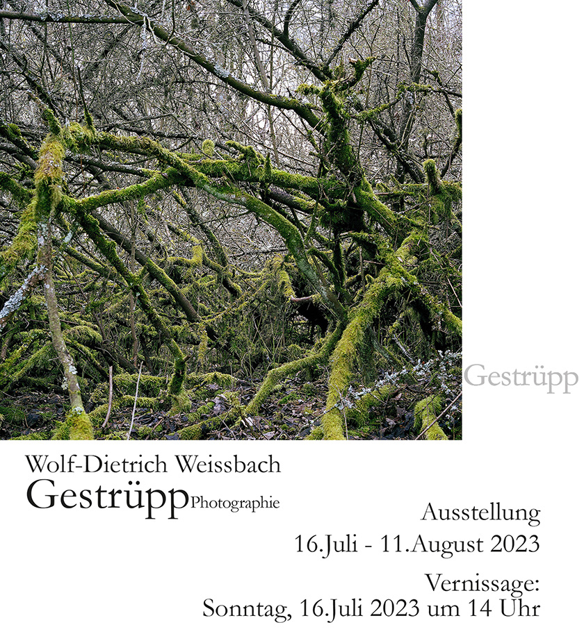 Wolf-Dietrich Weissbach - Gestrüpp
